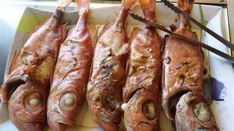 kwaw fish